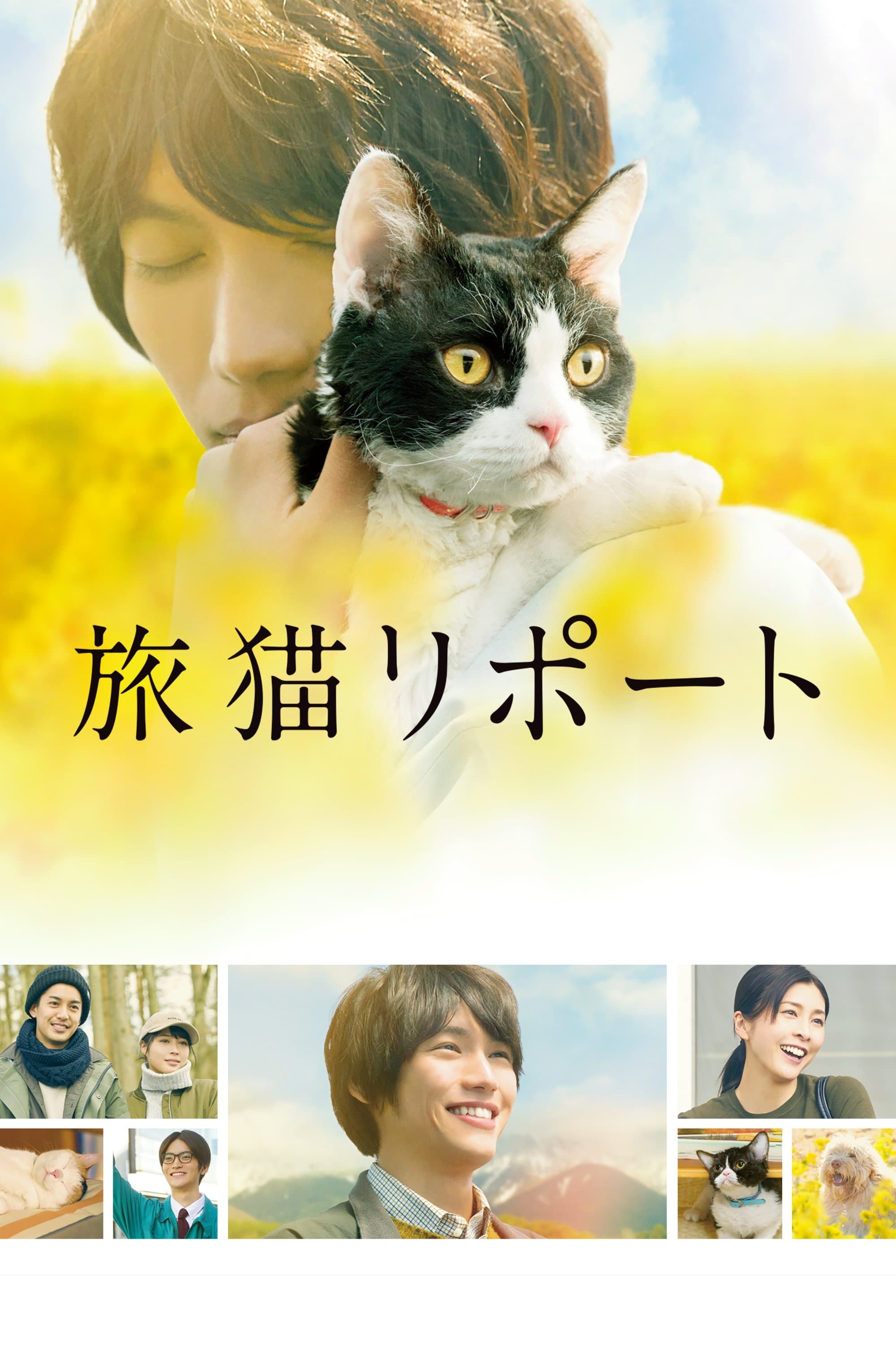The Travelling Cat Chronicles Movie Poster