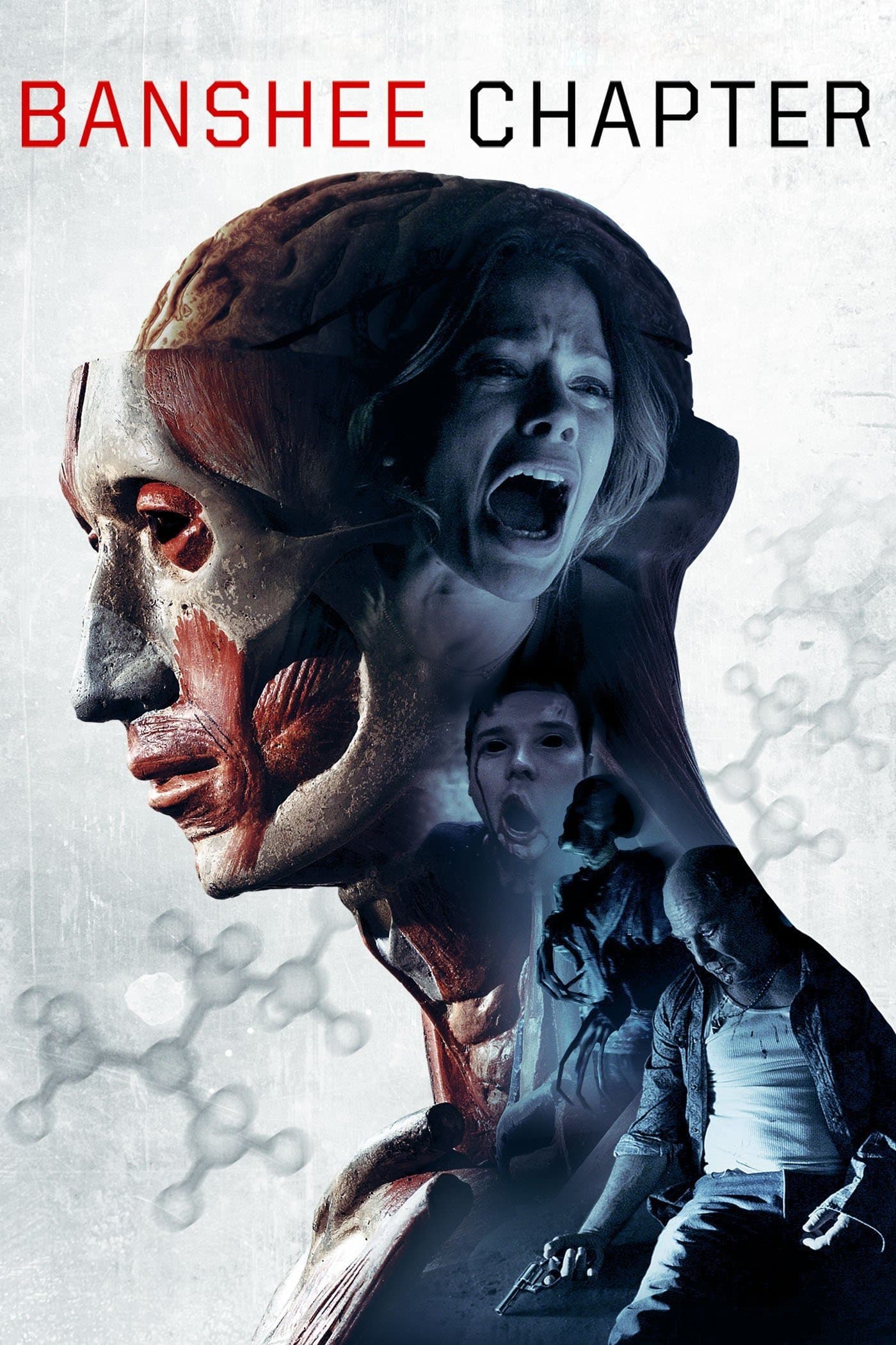 Banshee Chapter Movie Poster