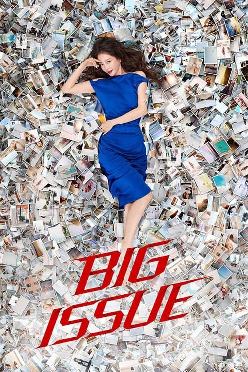 Big Issue TV Show Poster