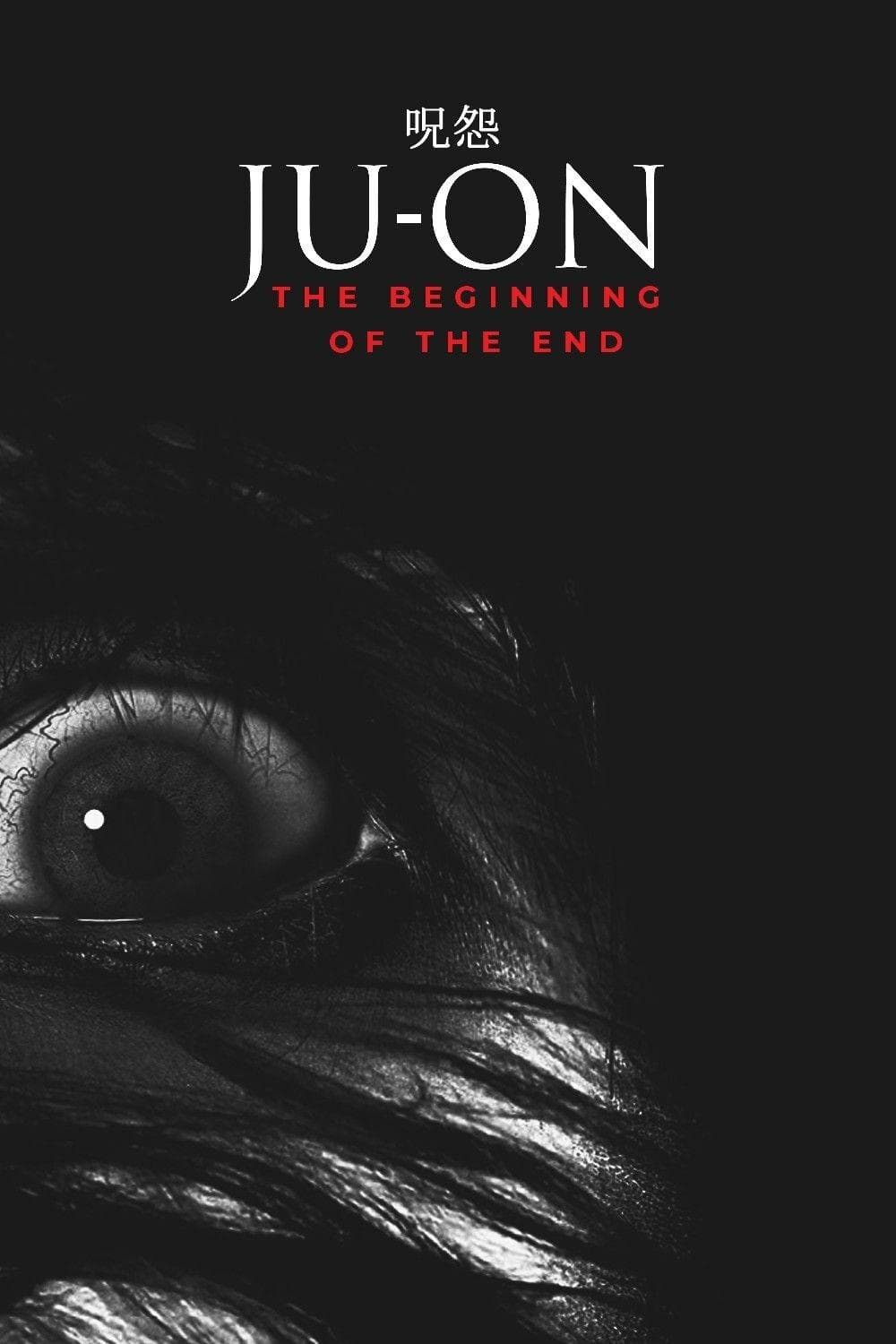 Ju-on: The Beginning of the End Movie Poster