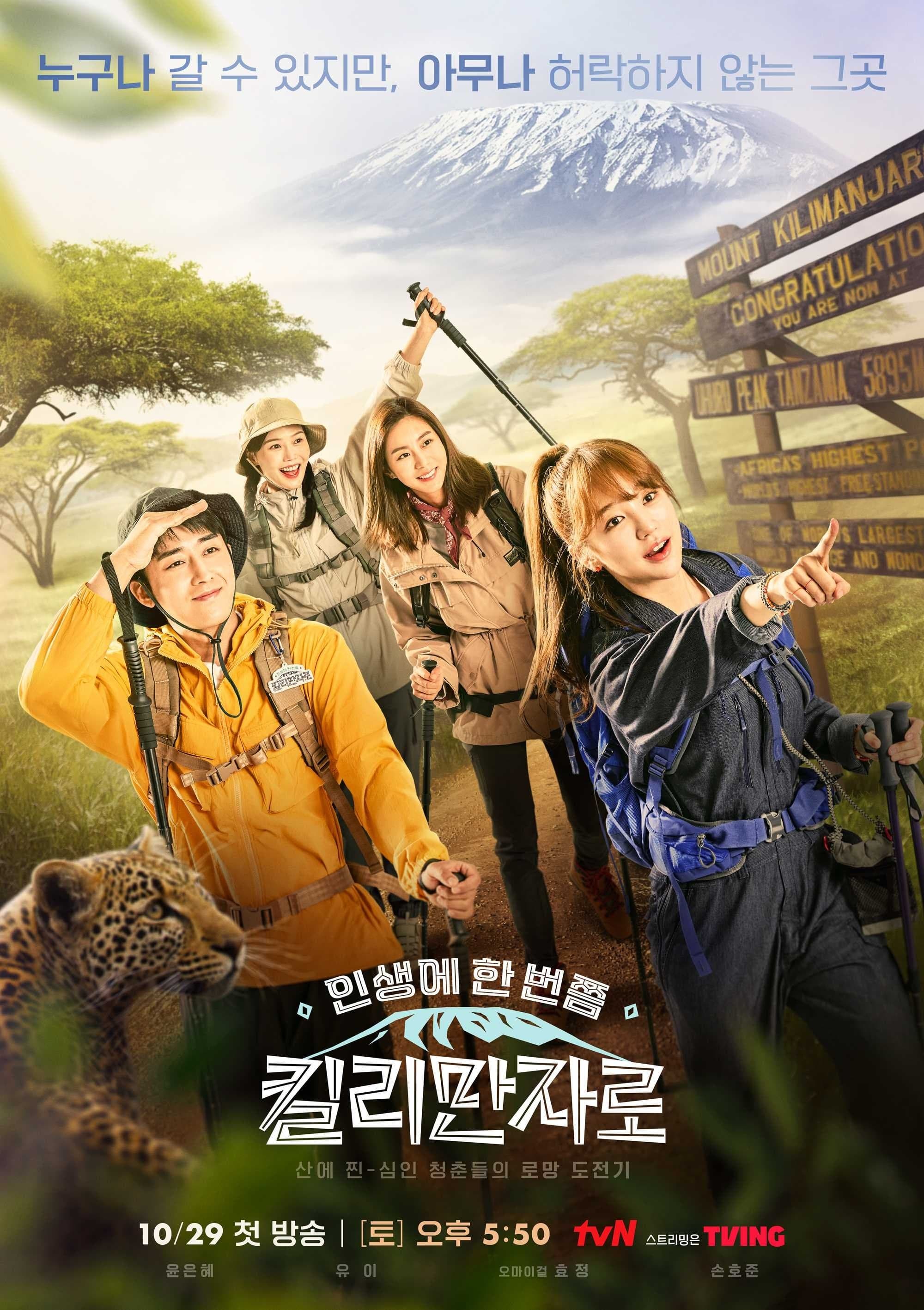 Once in My Lifetime, Kilimanjaro TV Show Poster