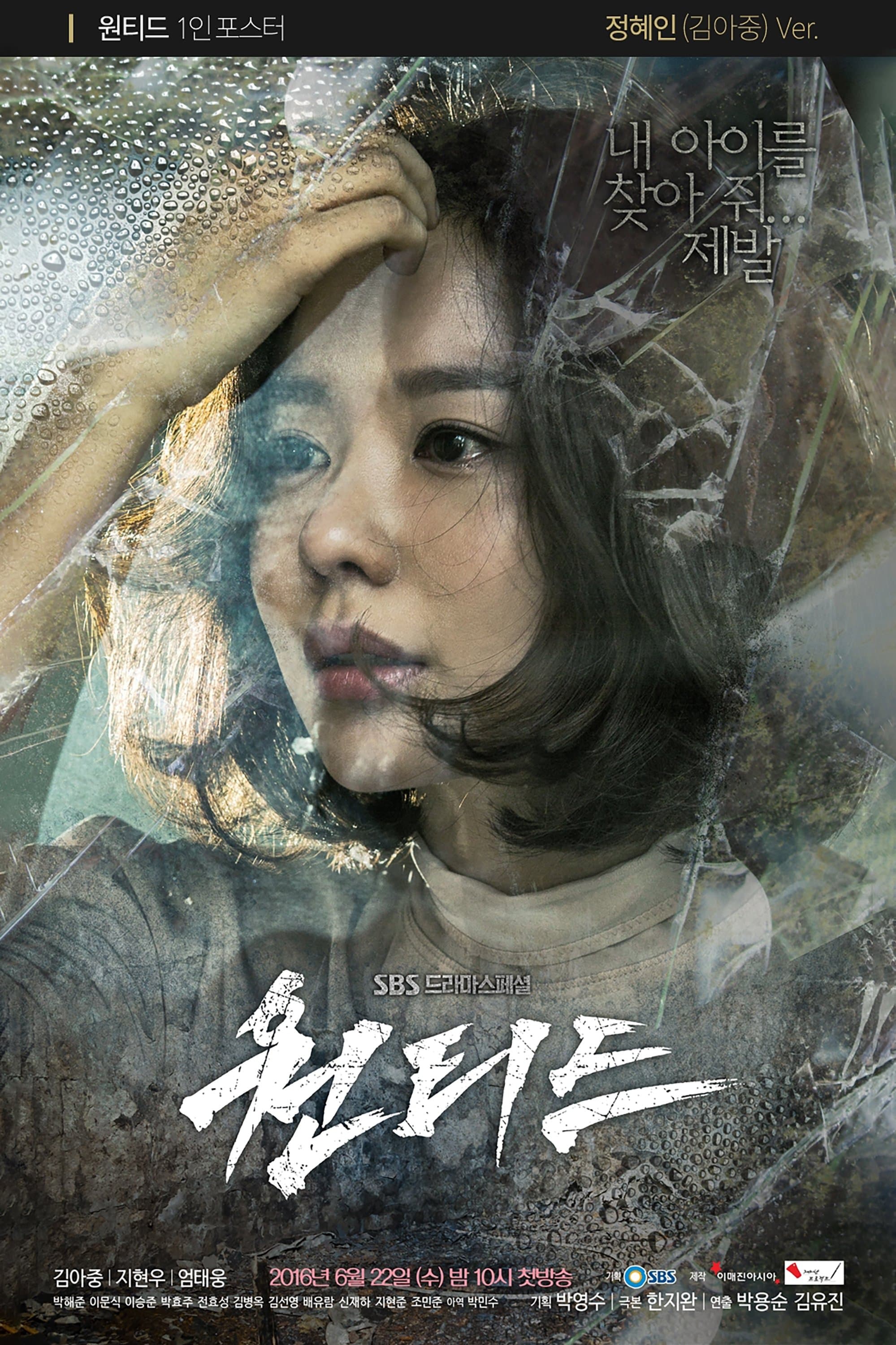 Wanted TV Show Poster