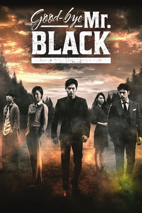 Goodbye Mr. Black TV Show Poster