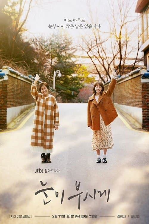 The Light in Your Eyes TV Show Poster