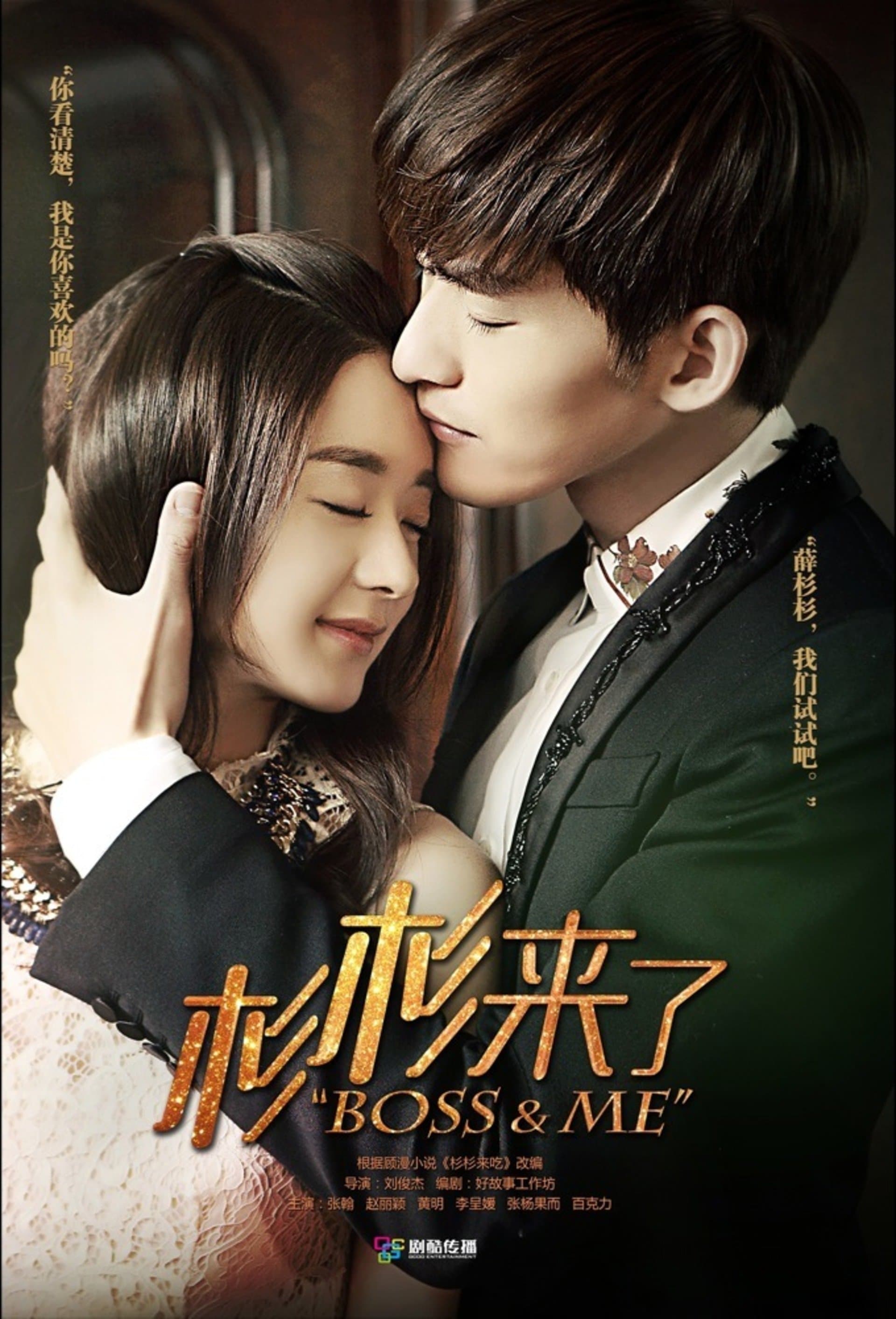 Boss & Me TV Show Poster