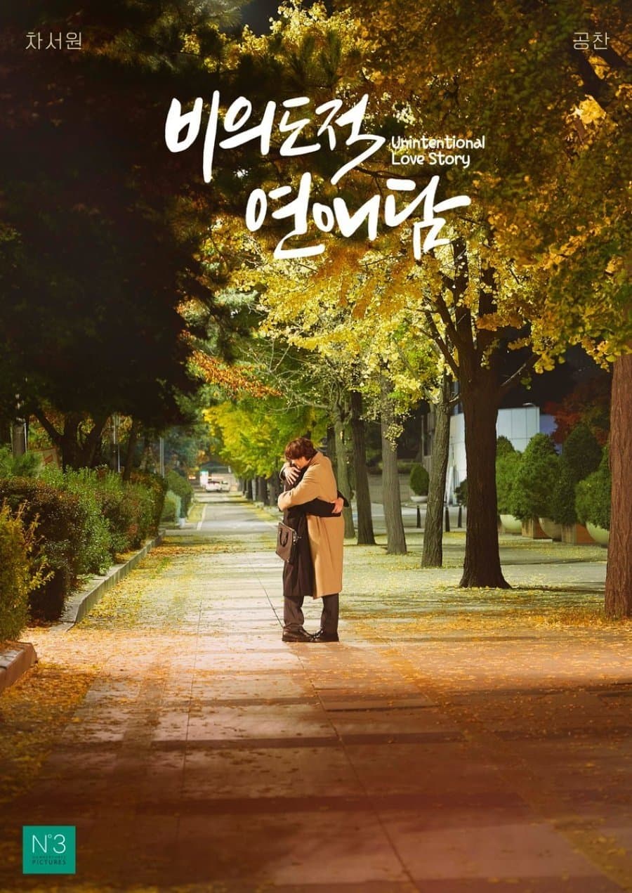 Unintentional Love Story TV Show Poster