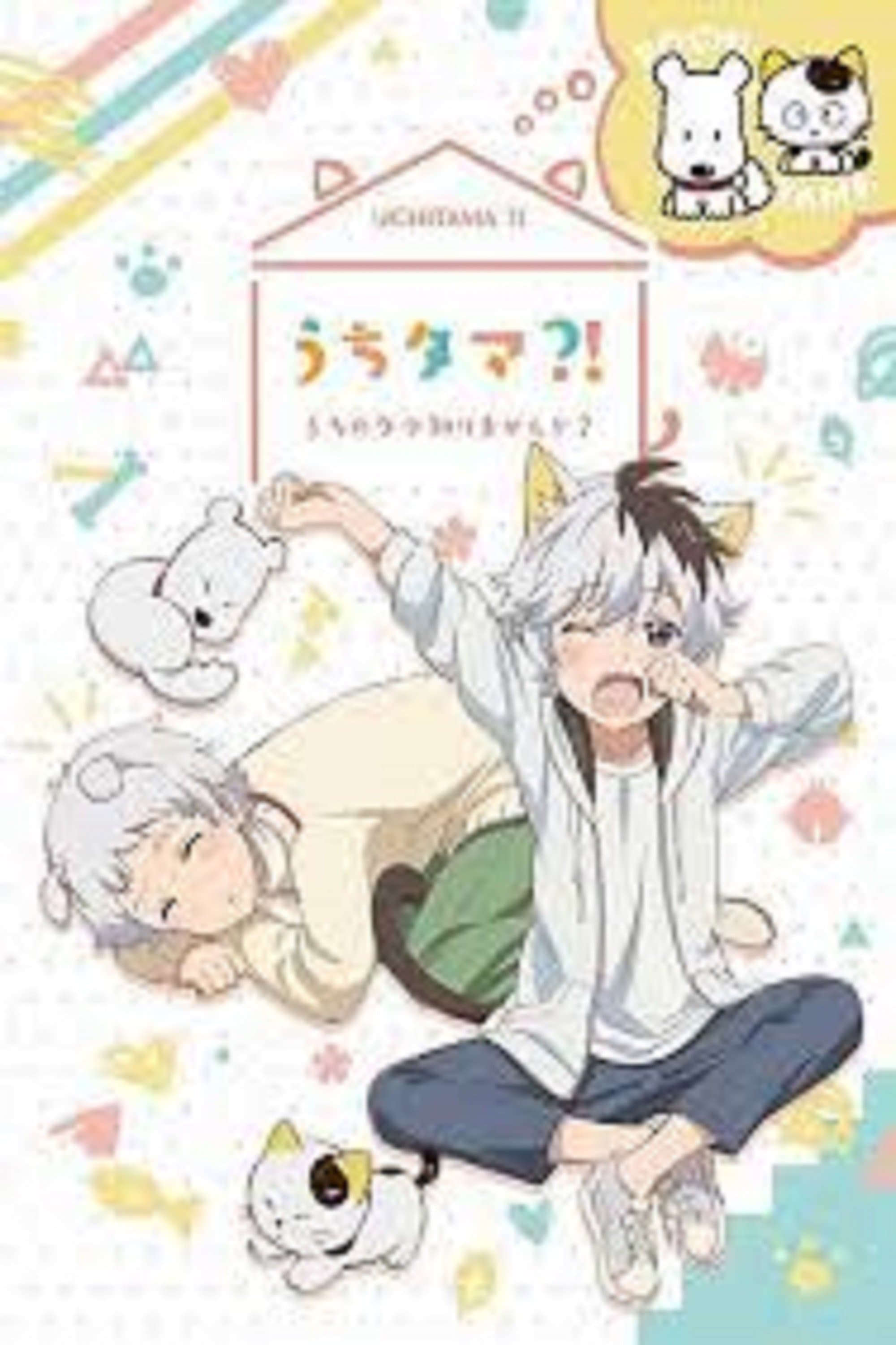 Uchitama?! Have You Seen My Tama? TV Show Poster