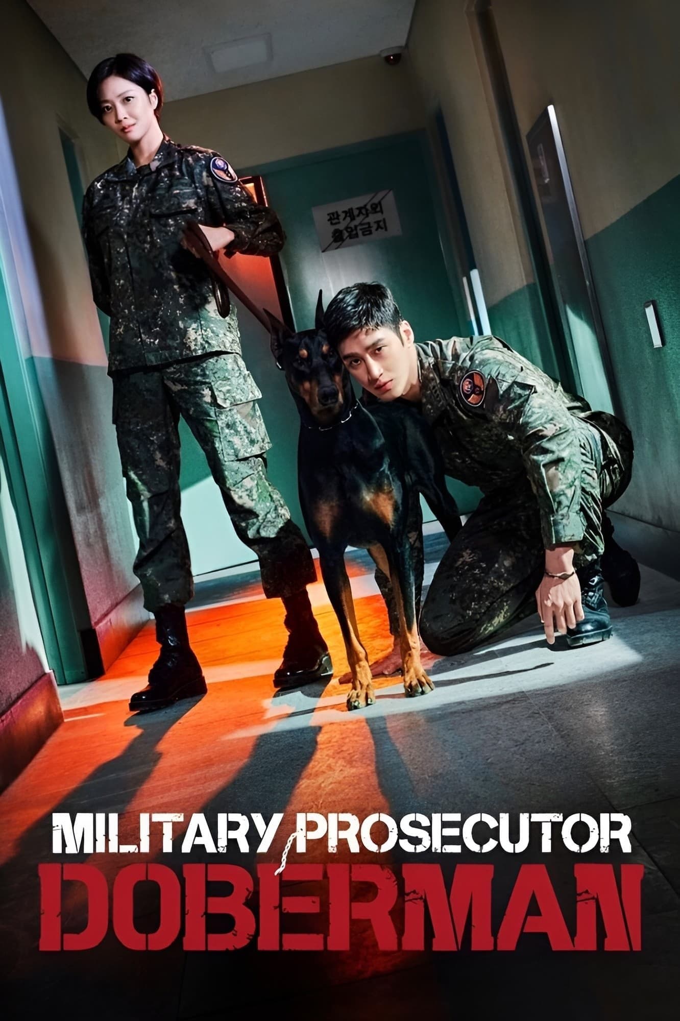 Military Prosecutor Doberman TV Show Poster