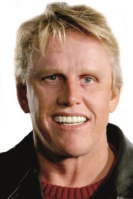 Gary Busey Profile Photo