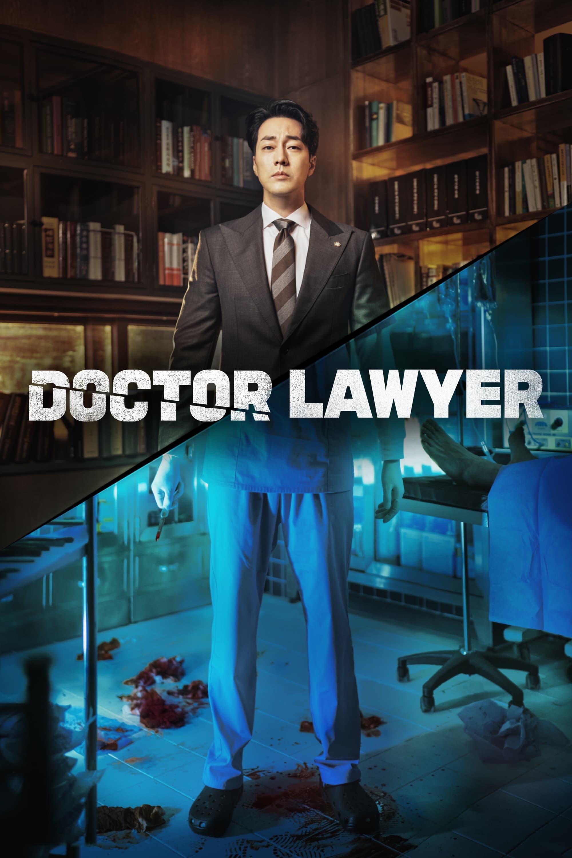 Doctor Lawyer TV Show Poster