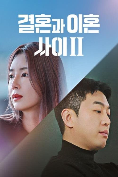 Caught Between Marriage & Divorce TV Show Poster