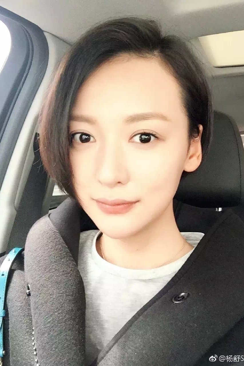 Yang Shu Profile Photo