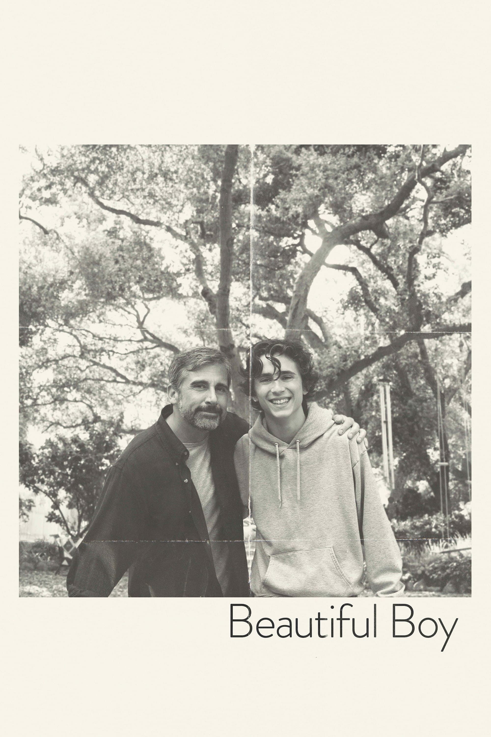 Beautiful Boy Movie Poster