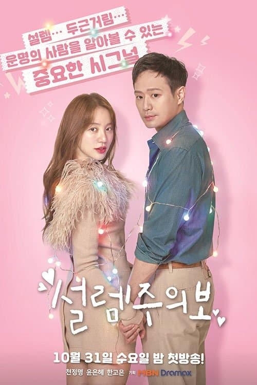 Love Alert TV Show Poster
