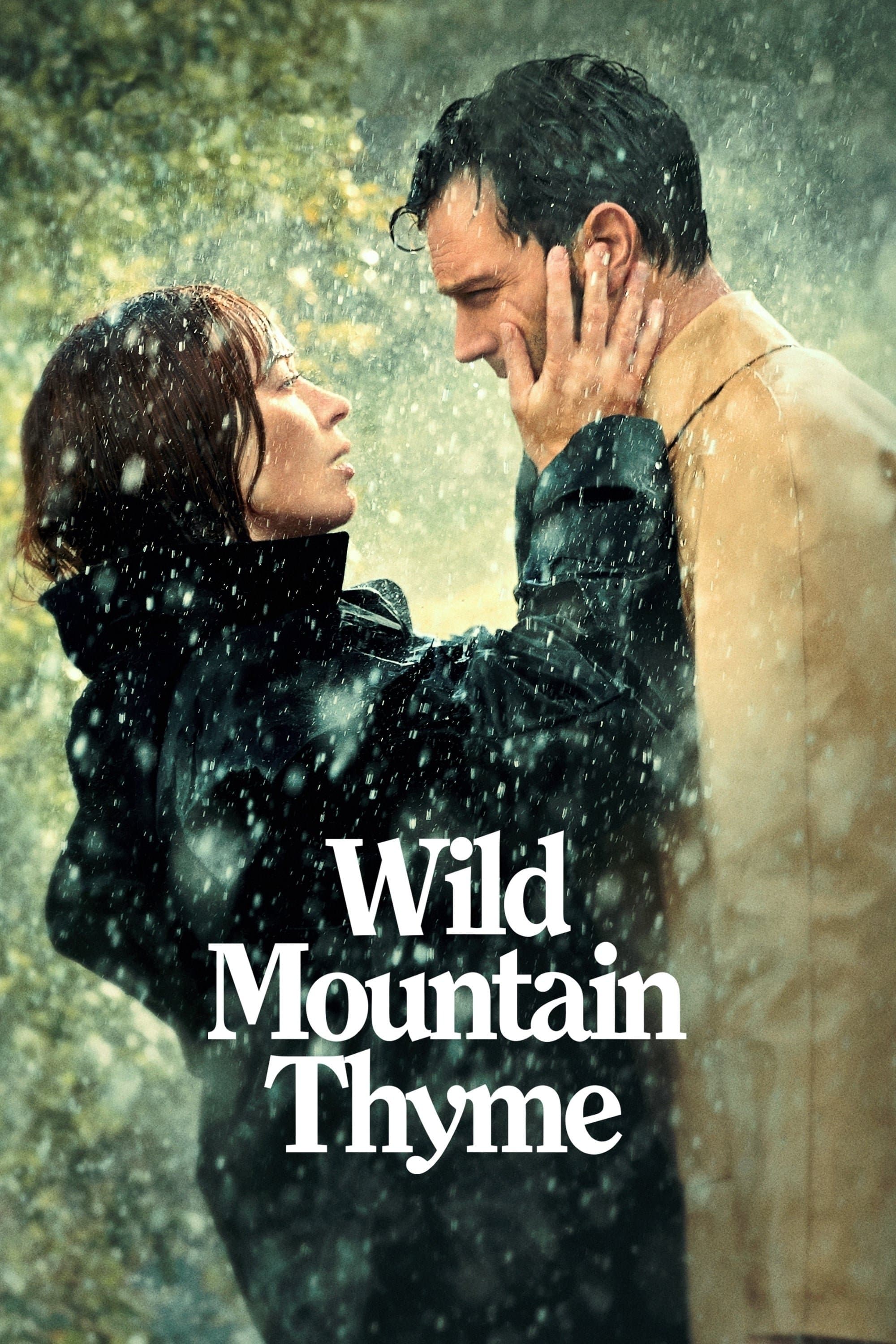 null Movie Poster
