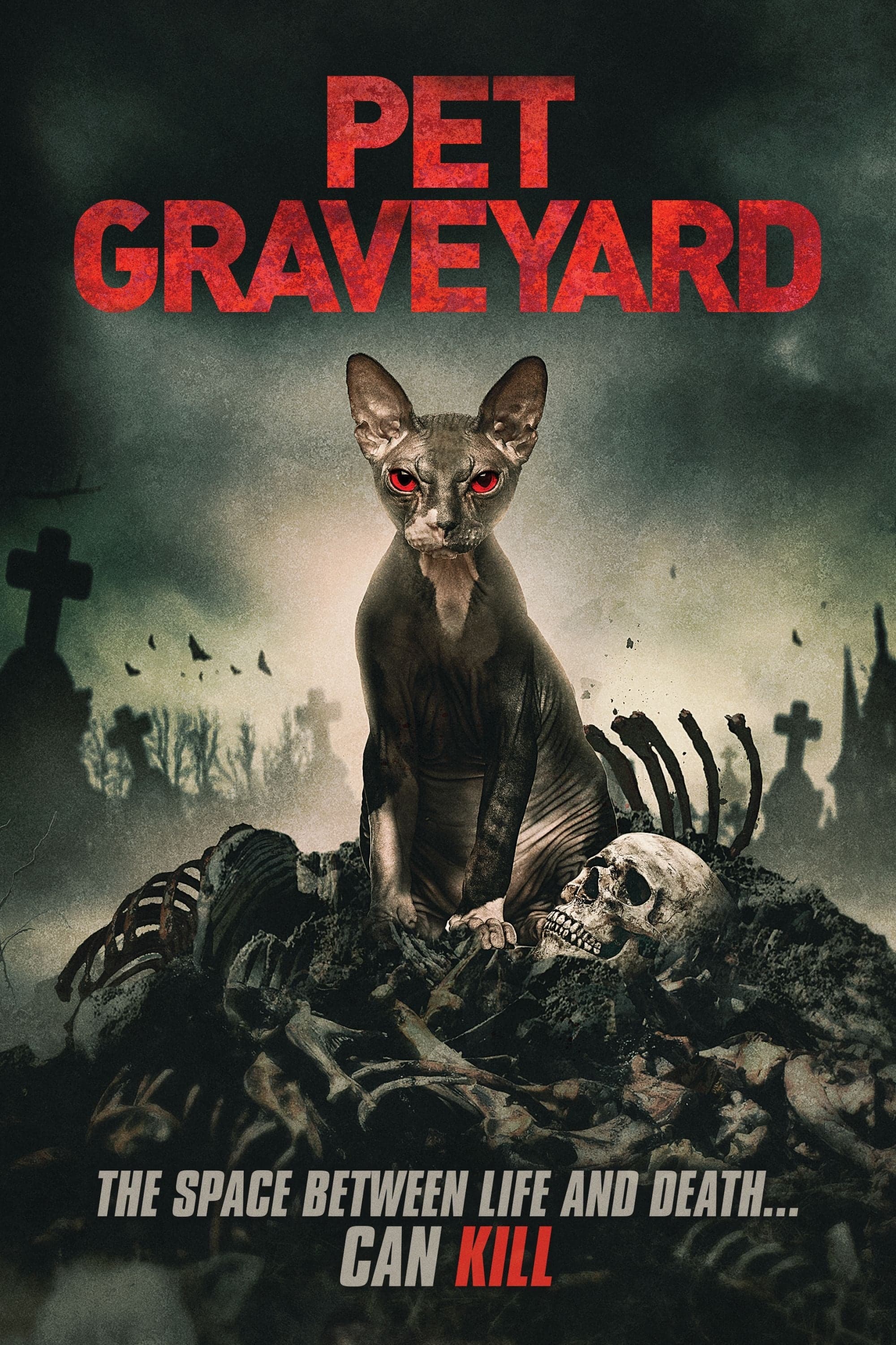 Pet Graveyard Movie Poster