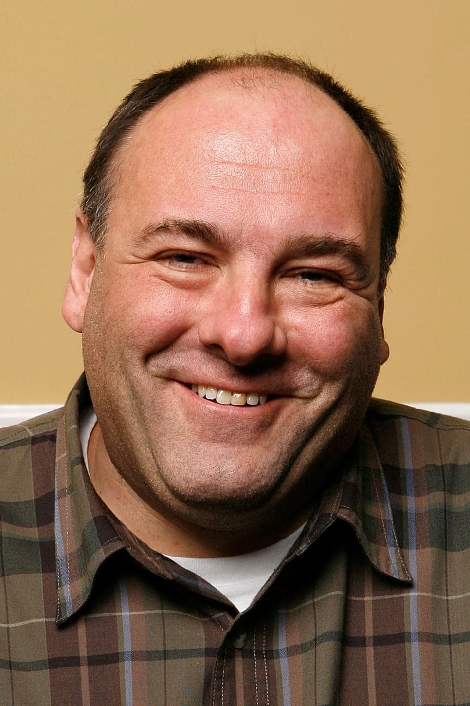 James Gandolfini Profile Photo