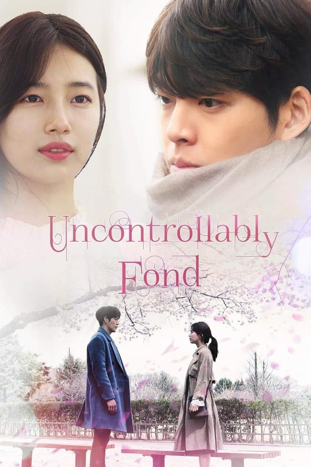 Uncontrollably Fond TV Show Poster