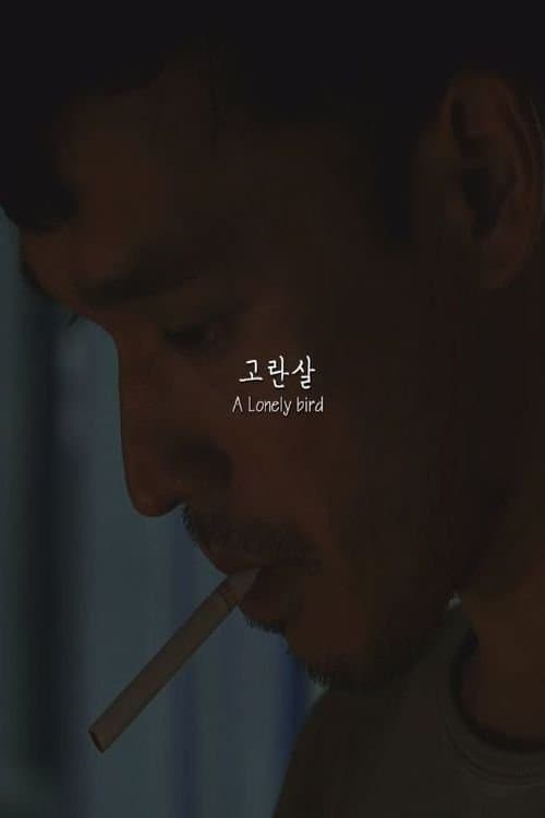 null Movie Poster