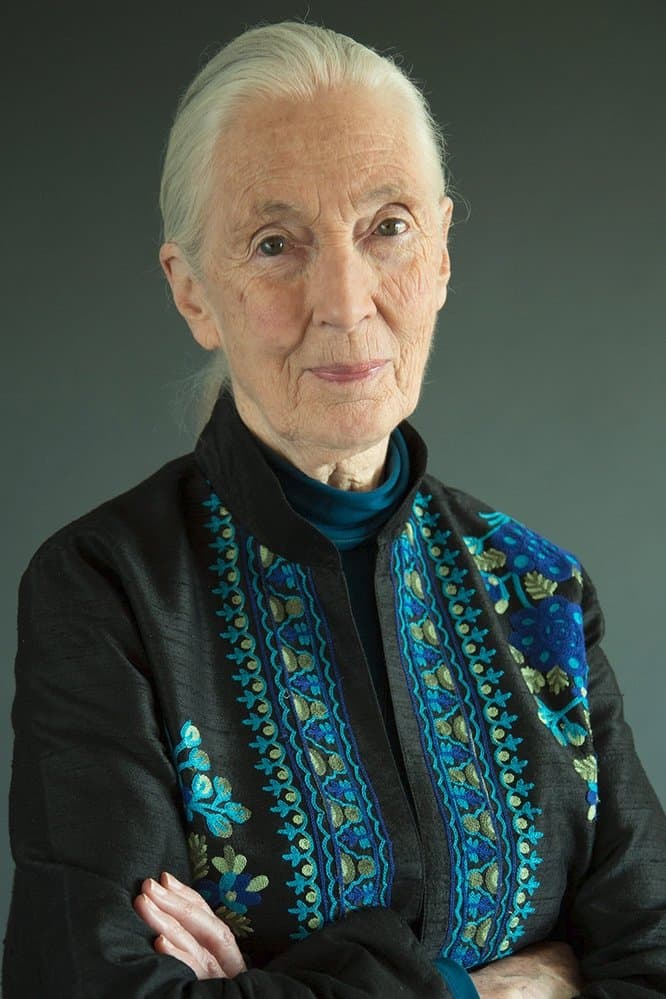 Jane Goodall Profile Photo
