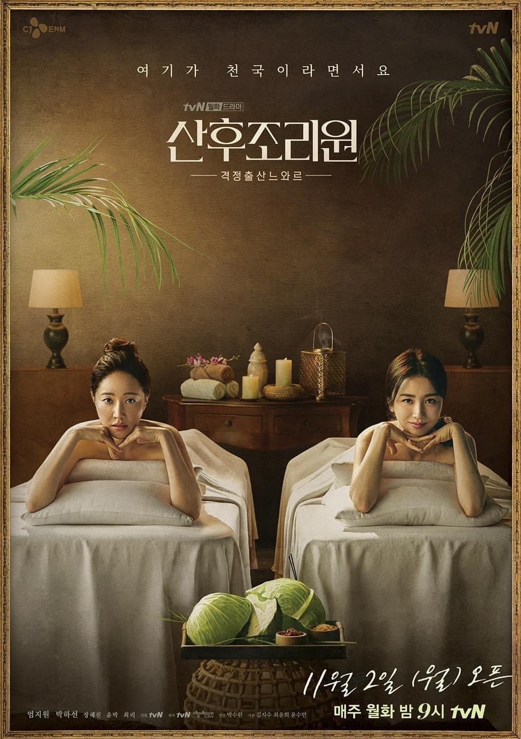 Birthcare Center TV Show Poster