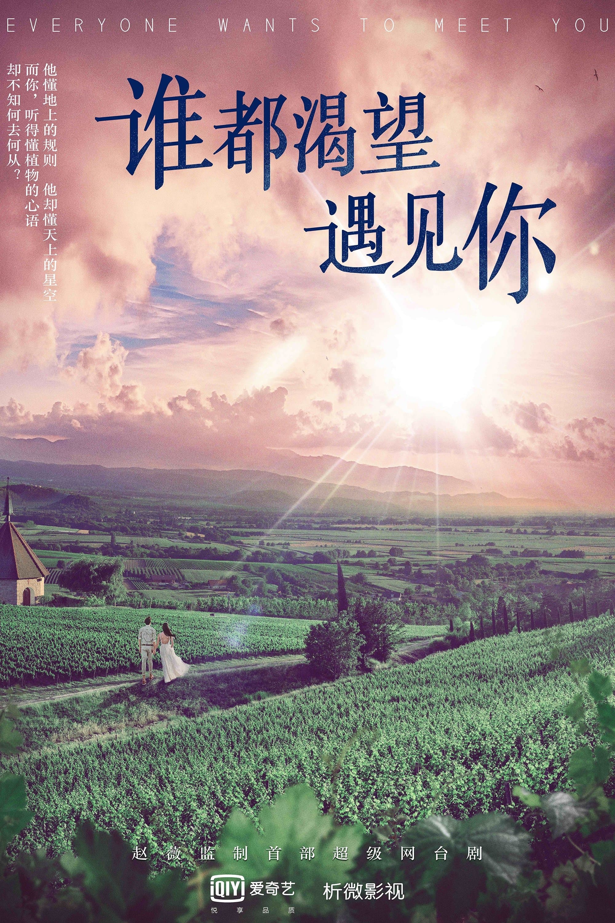 Everyone Wants To Meet You TV Show Poster