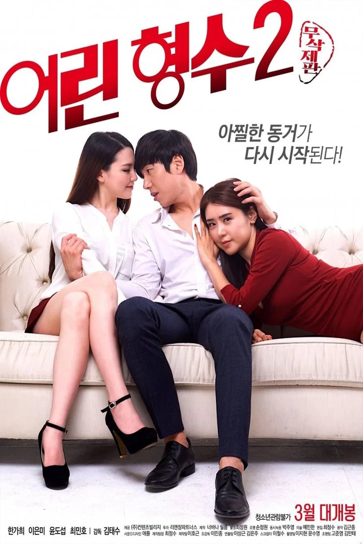 Young Sister-In-Law 2 Movie Poster