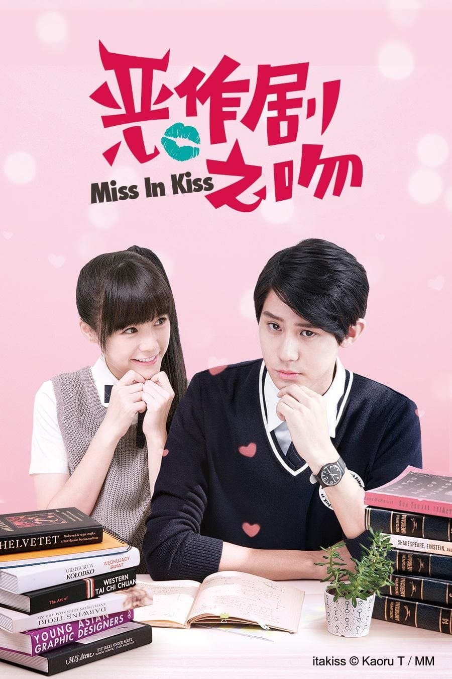 Miss in Kiss TV Show Poster