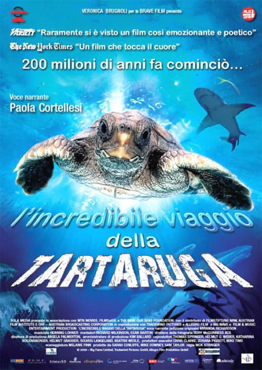 Turtle: The Incredible Journey Movie Poster