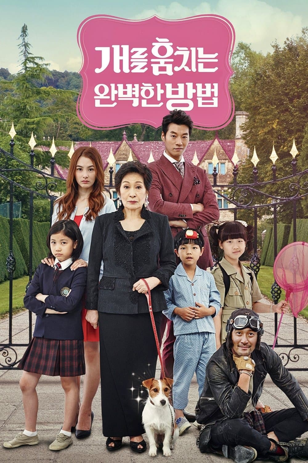 How to Steal a Dog Movie Poster
