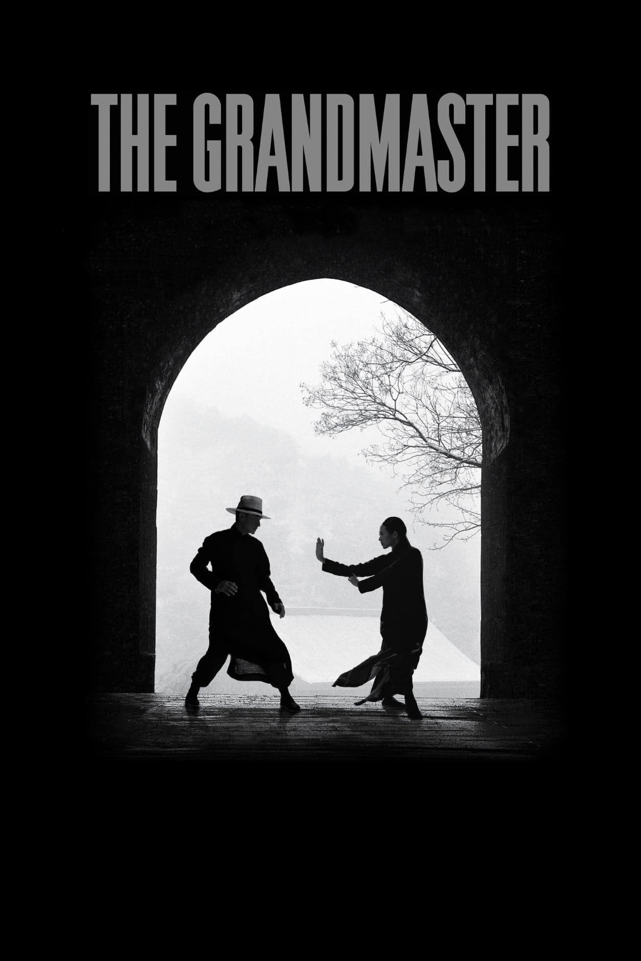 The Grandmaster Movie Poster