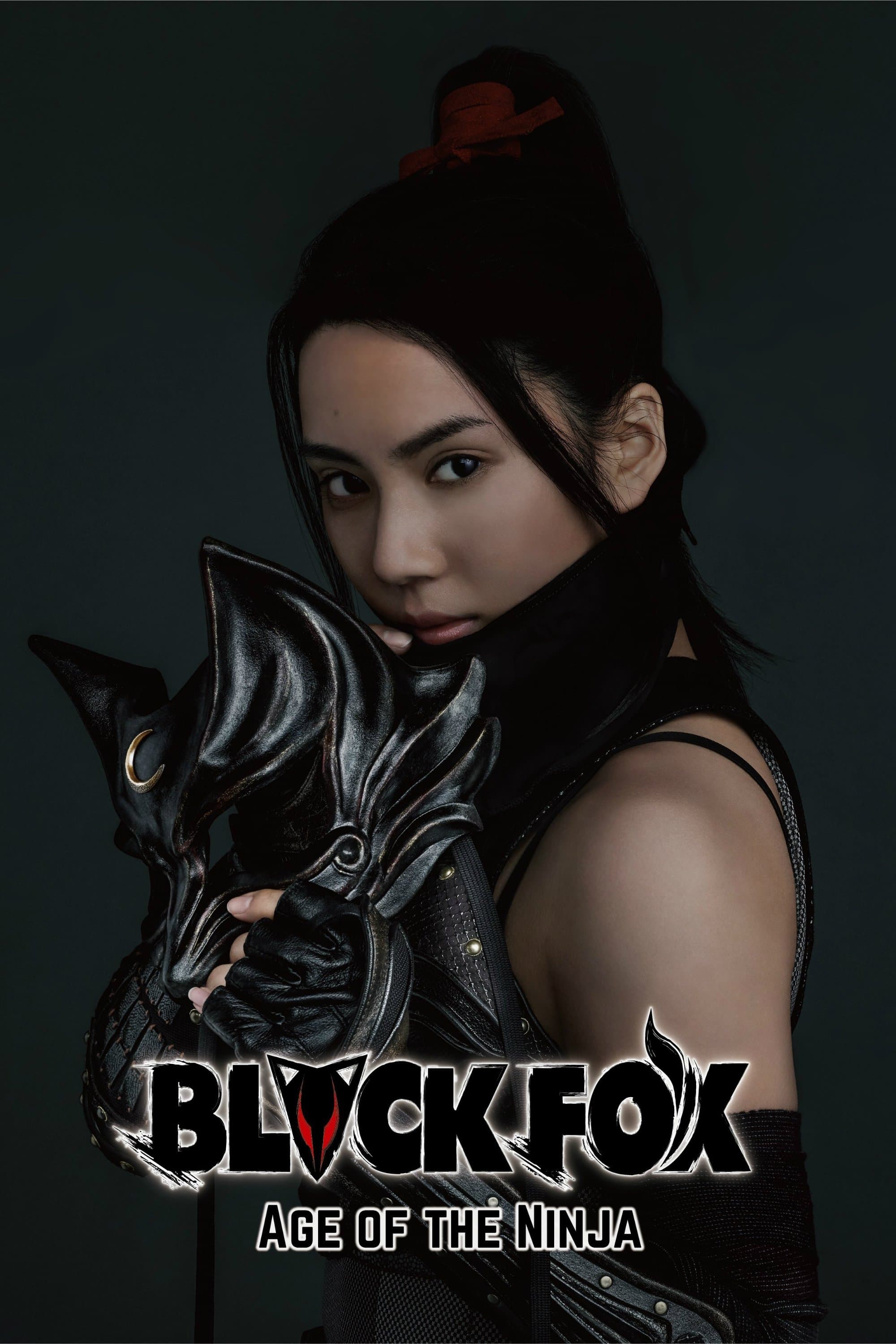 Black Fox: Age of the Ninja Movie Poster