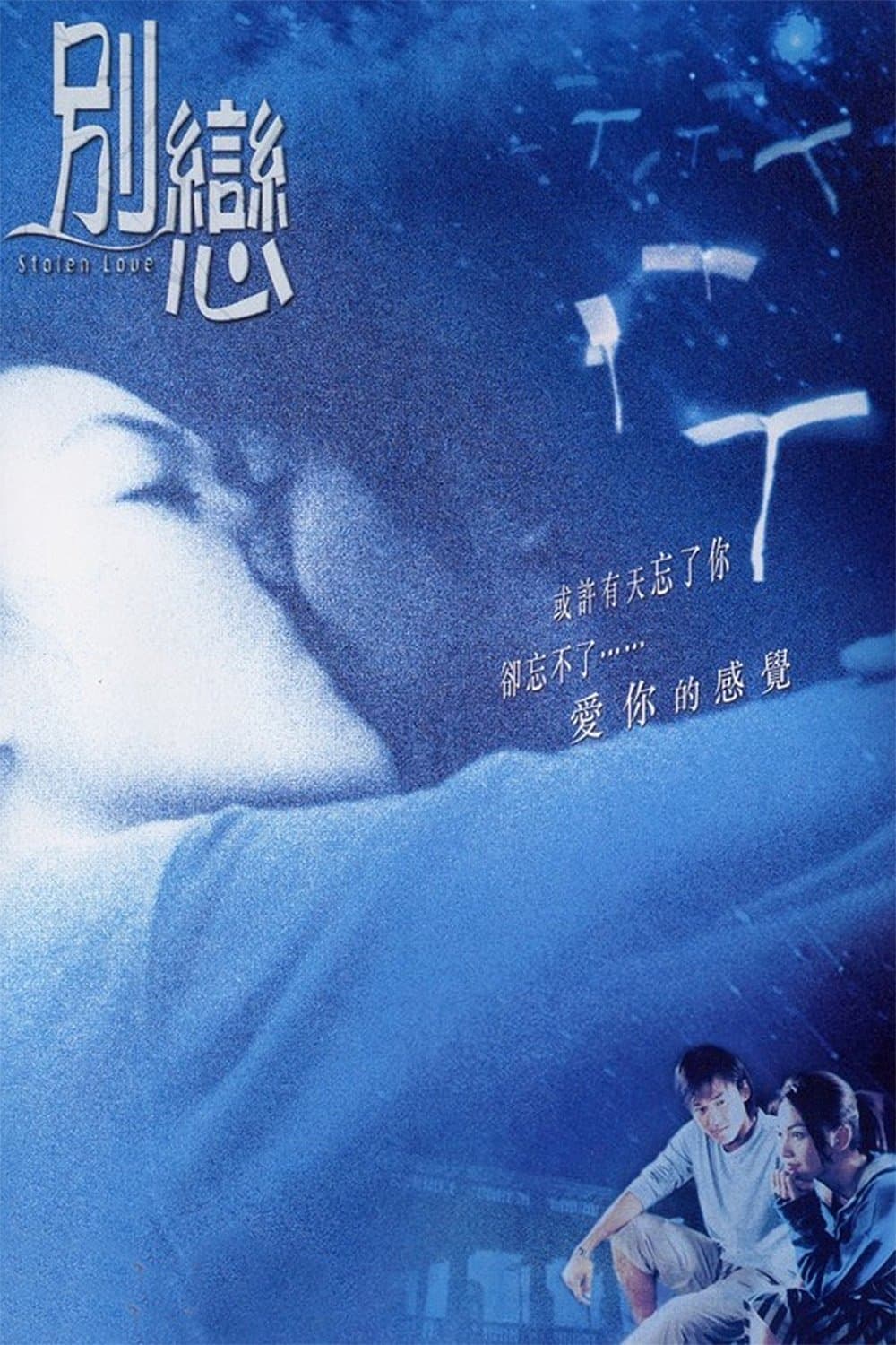 Stolen Love Movie Poster