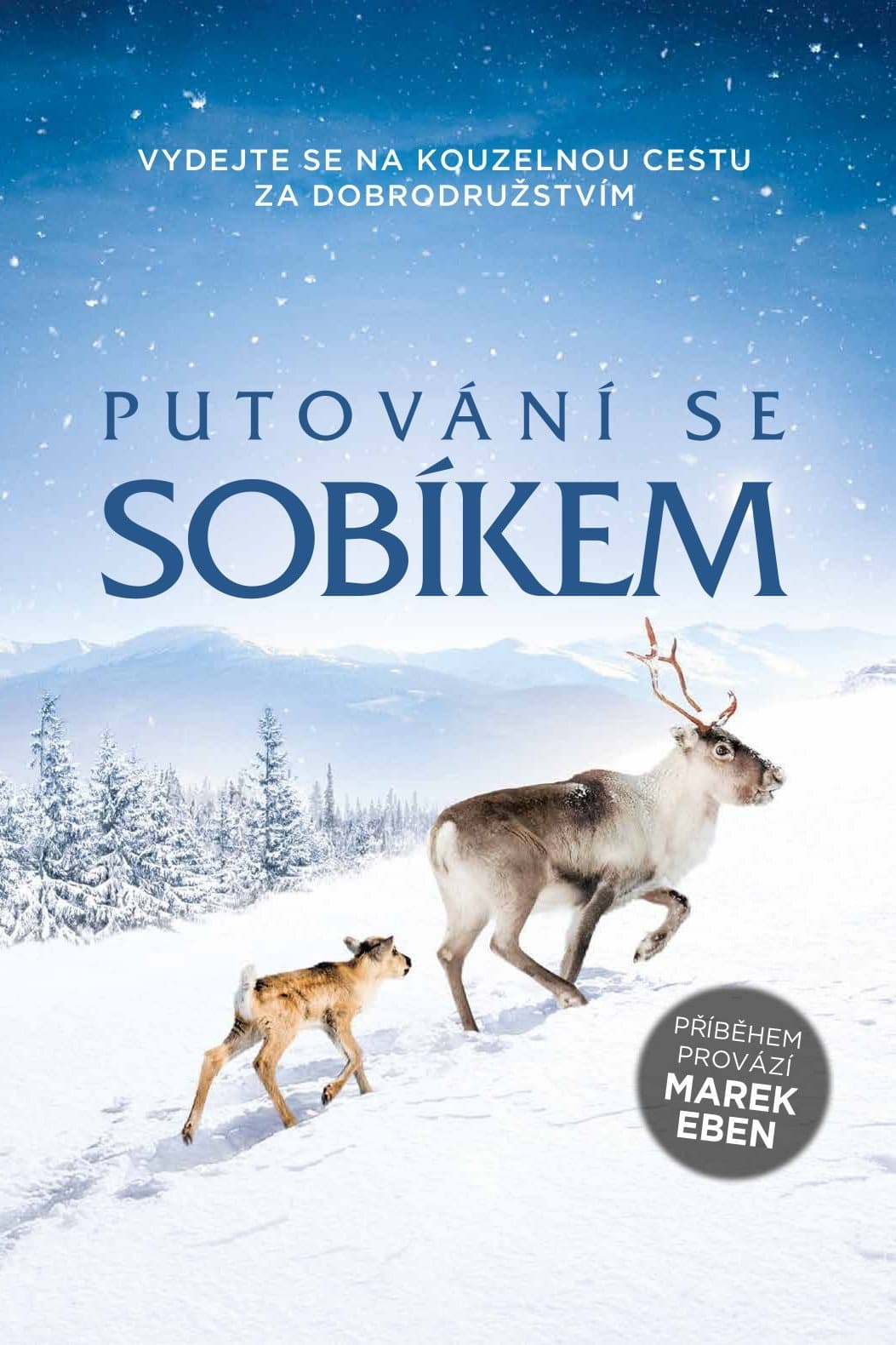 null Movie Poster