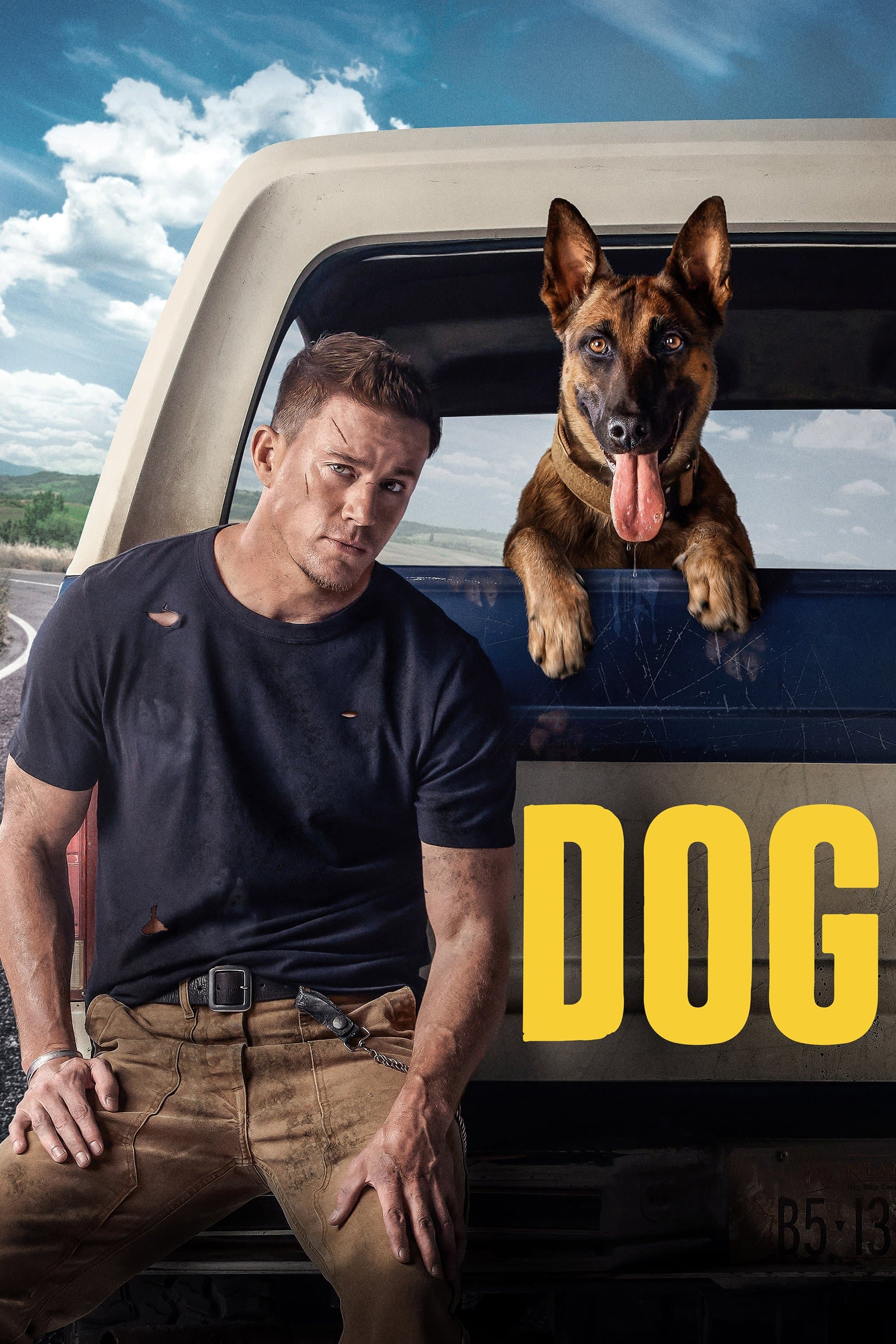Dog Movie Poster
