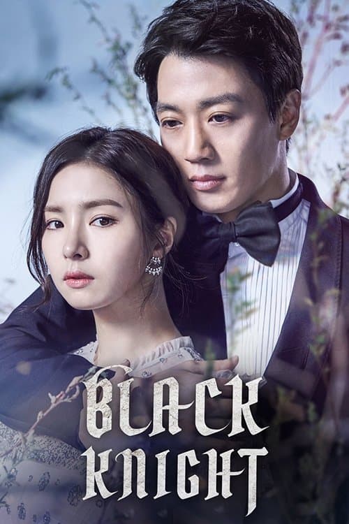 Black Knight TV Show Poster