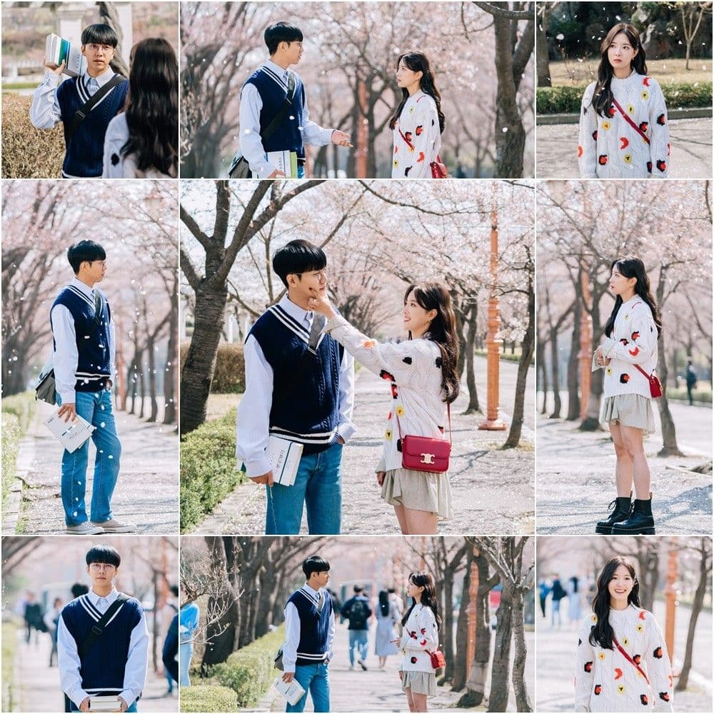 Lee Seung Gi and Lee Se Young&#8217;s Heart-Fluttering Moment Under Cherry Blossoms in &#8216;The Law Cafe&#8217;