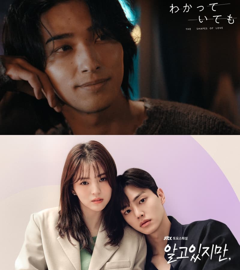 4 Korean Dramas Proven Super Popular Through Japanese Remakes