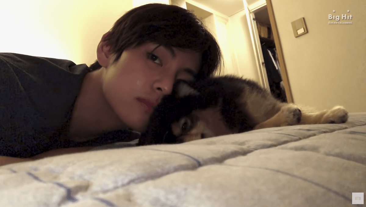 BTS’s V Bids Farewell to Beloved Dog Yeontan