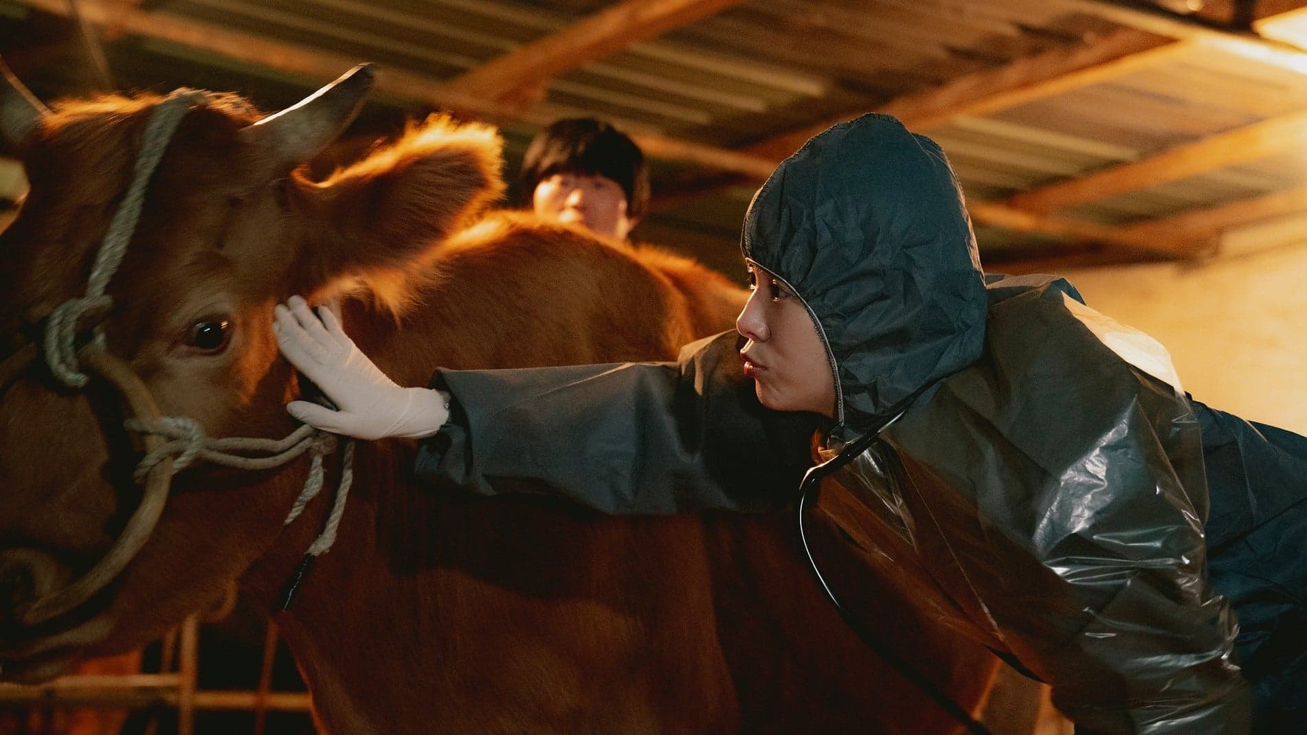 you're the weirdest in town