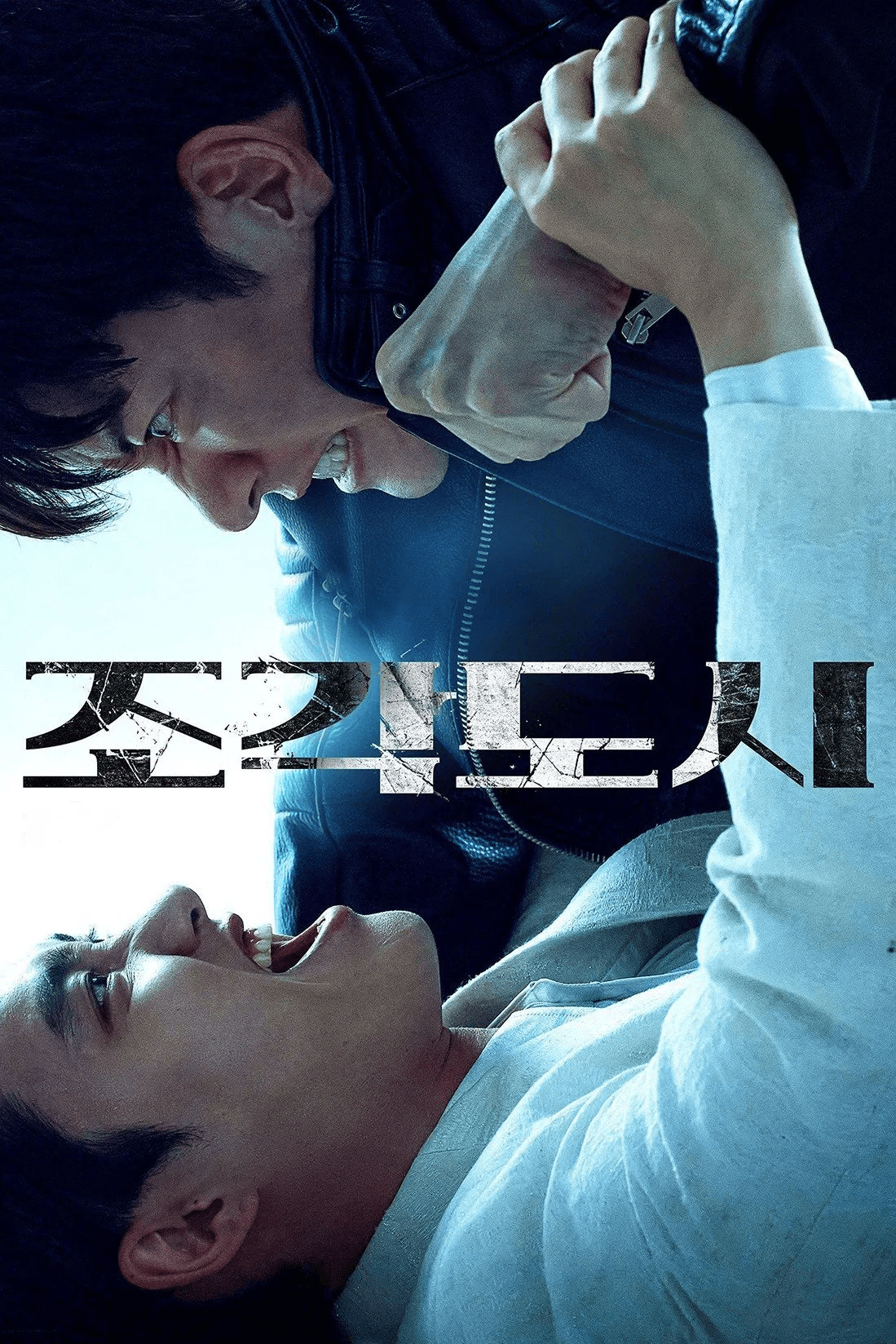 The Manipulated TV Show Poster