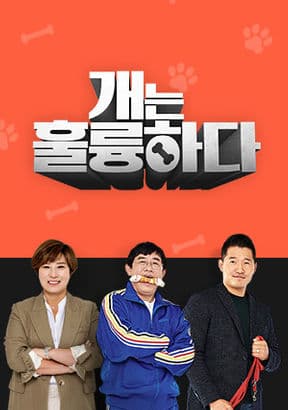 Dogs Are Incredible TV Show Poster