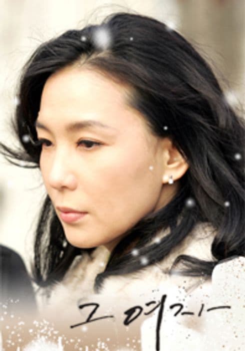 The woman TV Show Poster